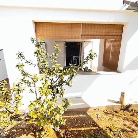 Apartment Salt Trogir